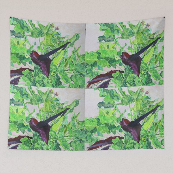 Item preview, Solomon's Lily, the black Arum Lily designed and sold by Melvyn Kahan.