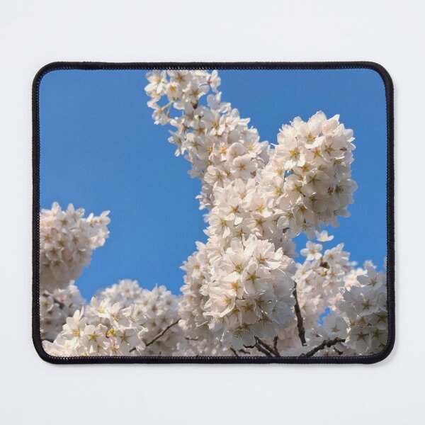 Item preview,  Spring Blossom designed and sold by Page Photography.