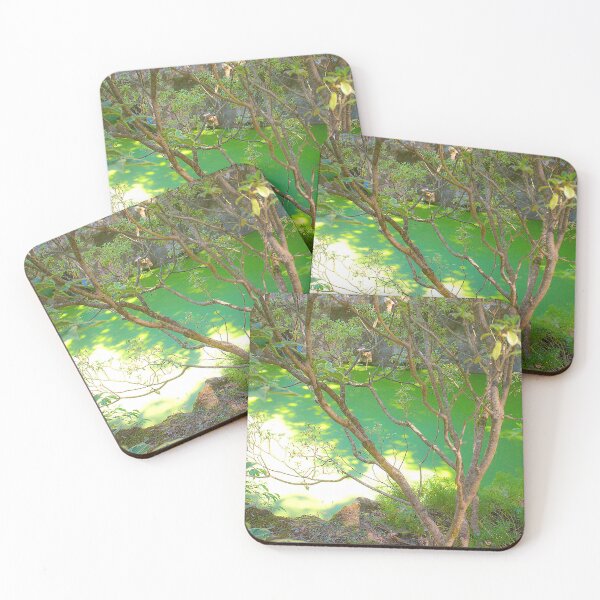 Item preview, encanto. Jamor sports Park. designed and sold by Tereza Pilar  Art.