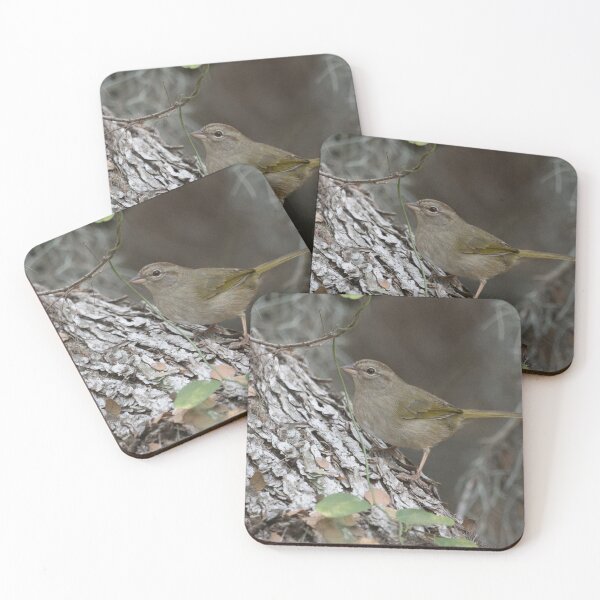 Item preview, Olive Sparrow designed and sold by EnglandEcology.