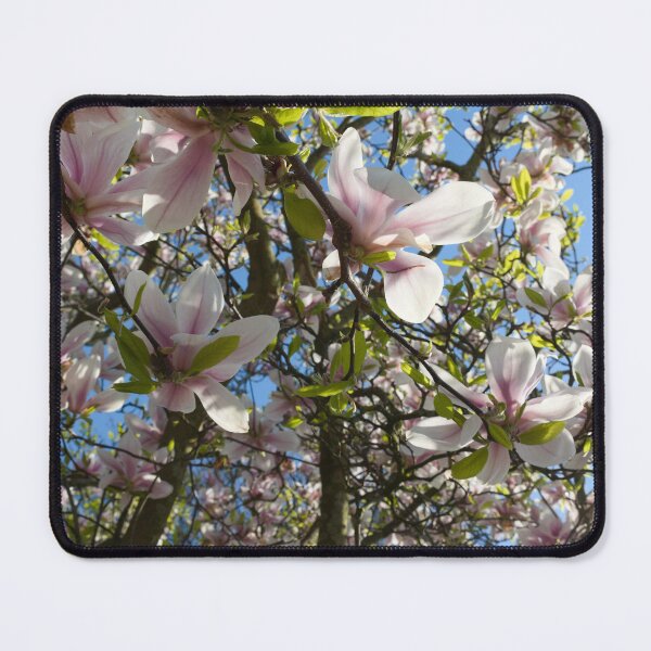 Item preview, Tulip Tree in full color with blue sky designed and sold by paulv25.