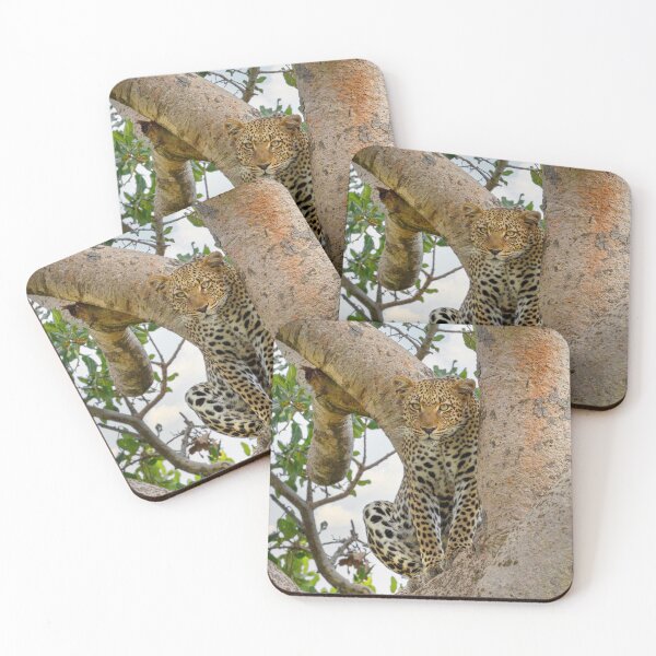 Item preview, The Leopard Sits In Wait designed and sold by Kay Brewer.
