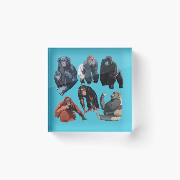 Item preview, A is for Ape, Great Apes – Chimpanzee, Gorilla, Orangutan, Bonobo & Human Primate Art designed and sold by PrettylittlepastelUk.