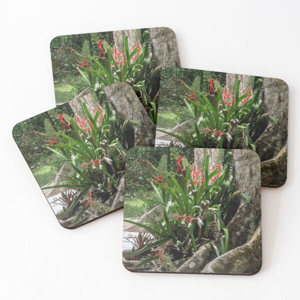 Item preview, Amazing Nature in Guatemala designed and sold by heatherfriedman.