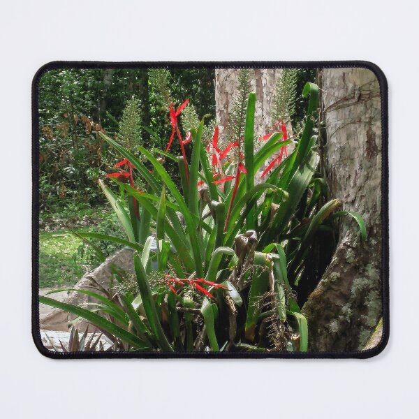 Item preview, Amazing Nature in Guatemala designed and sold by heatherfriedman.