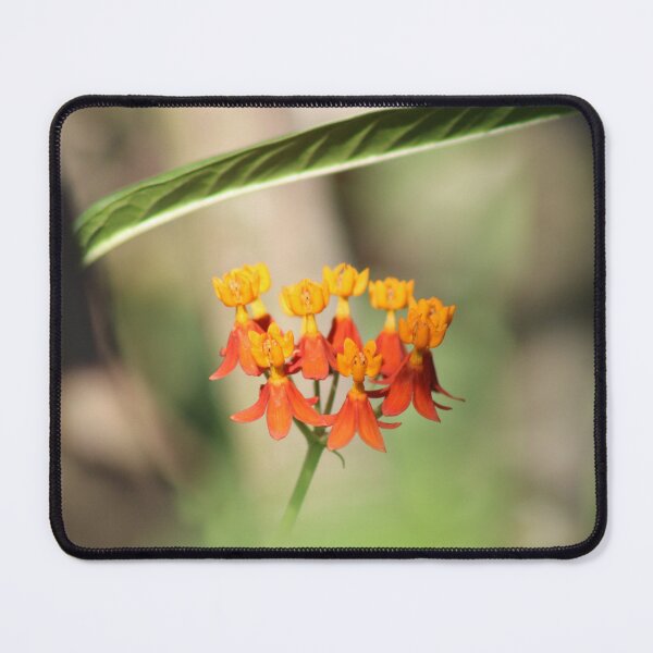 Item preview, Pretty little wildflowers  designed and sold by Jmb67.