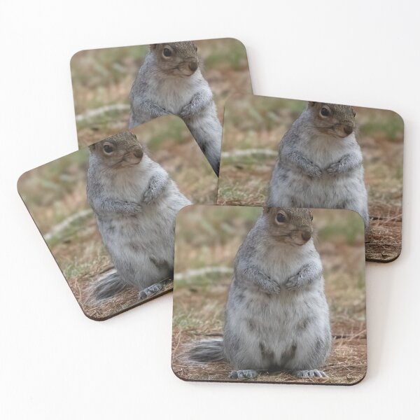 Item preview, Standing Squirrel designed and sold by Tim Dusenberry.