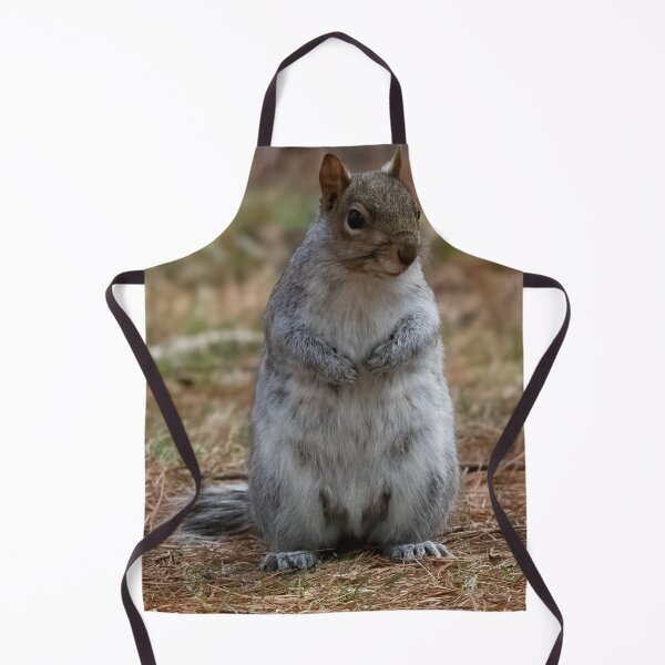 Item preview, Standing Squirrel designed and sold by Tim Dusenberry.