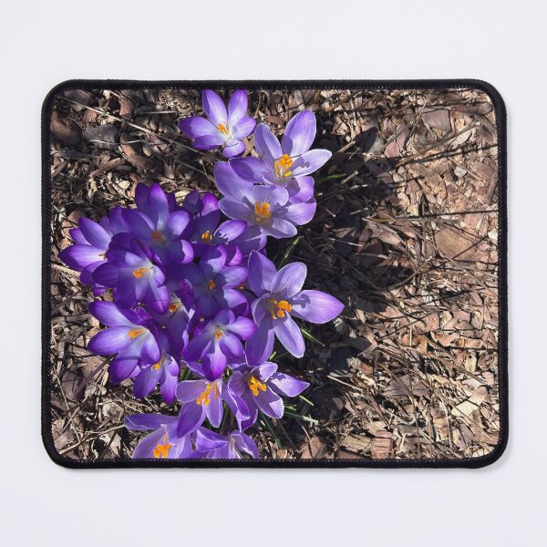 Item preview, Spring designed and sold by Lauracolleen3.