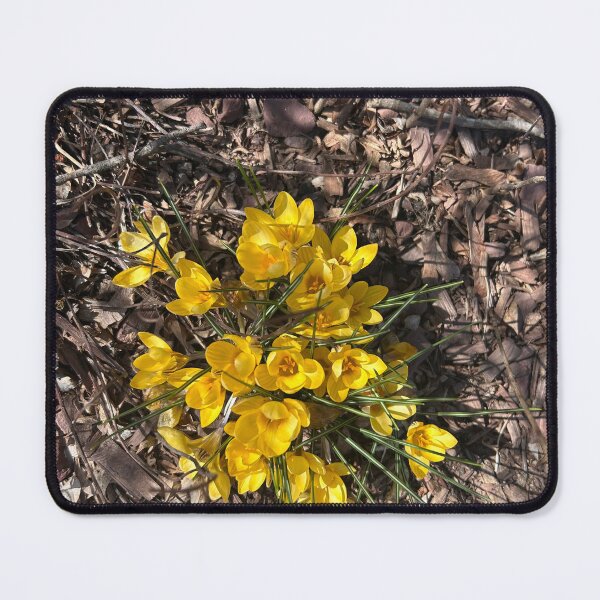 Item preview, Spring flowers designed and sold by Lauracolleen3.