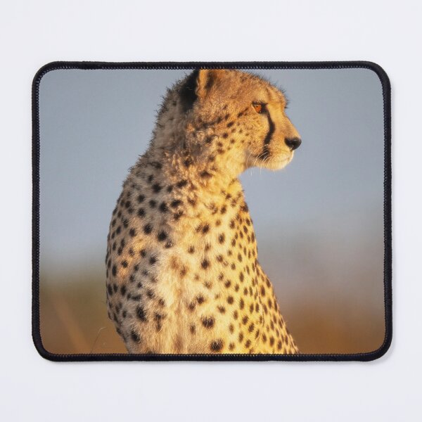 Item preview, Cheetah Scanning for Prey Kenya designed and sold by PhotoArt by Joan Carroll.