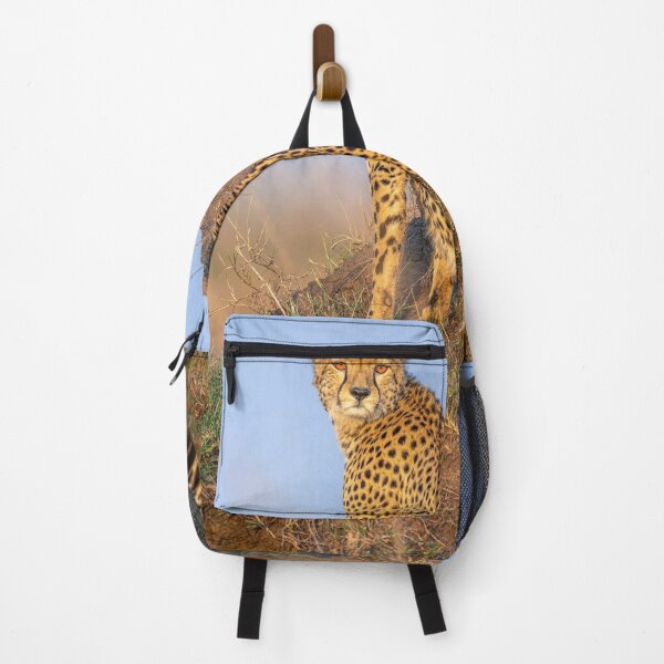Item preview, Cheetah Scanning for Prey 2 Kenya designed and sold by PhotoArt by Joan Carroll.