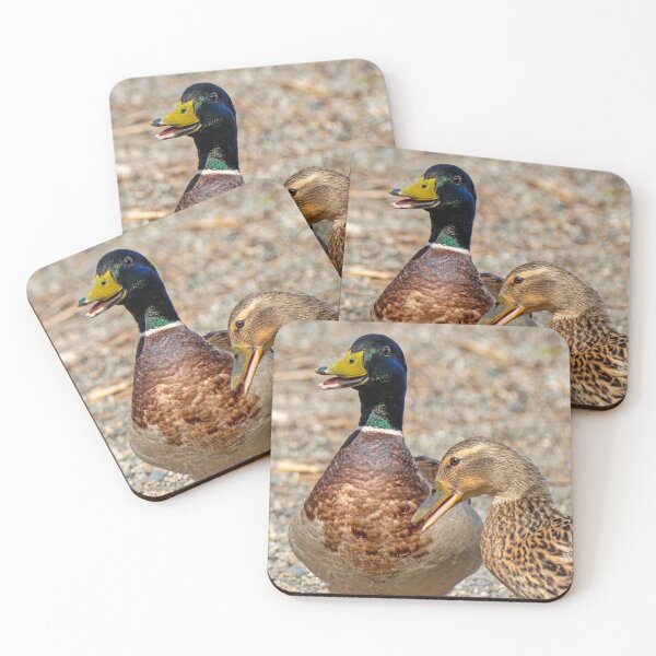 Item preview, Mallard Duck Pair fussing designed and sold by lisavonbiela.
