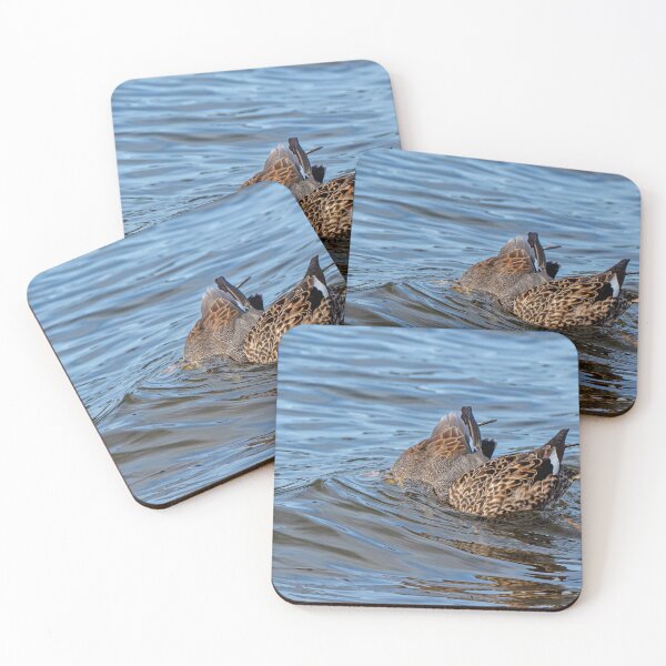 Item preview, Pair of Gadwall Ducks dabbing for their lunch designed and sold by lisavonbiela.