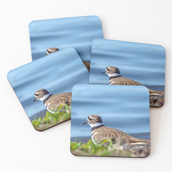 Item preview, Killdeer gazing out over the lake in the afternoon light designed and sold by lisavonbiela.