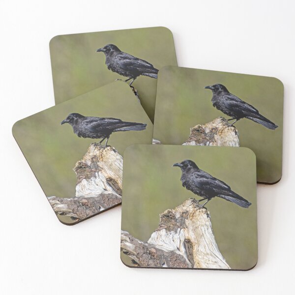 Item preview, American Crow in profile designed and sold by lisavonbiela.