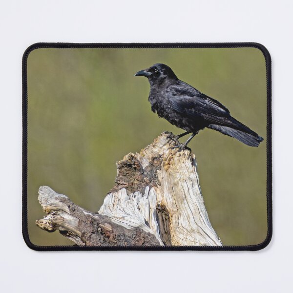 Item preview, American Crow in profile designed and sold by lisavonbiela.