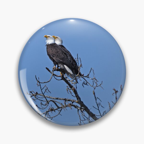 Item preview, Bald Eagle pair with their gazes perfectly aligned designed and sold by lisavonbiela.