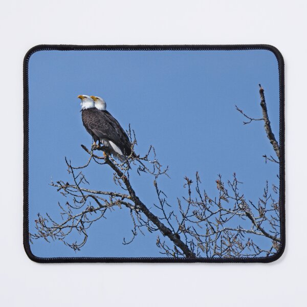 Item preview, Bald Eagle pair with their gazes perfectly aligned designed and sold by lisavonbiela.
