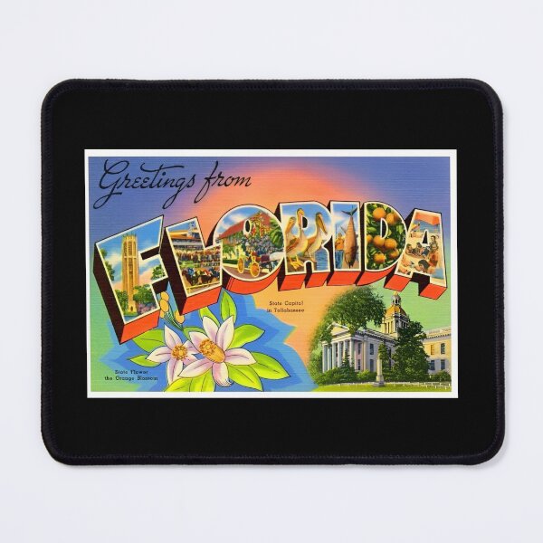 Item preview, Greetings from Florida Retro Souvenir designed and sold by DankThreads.