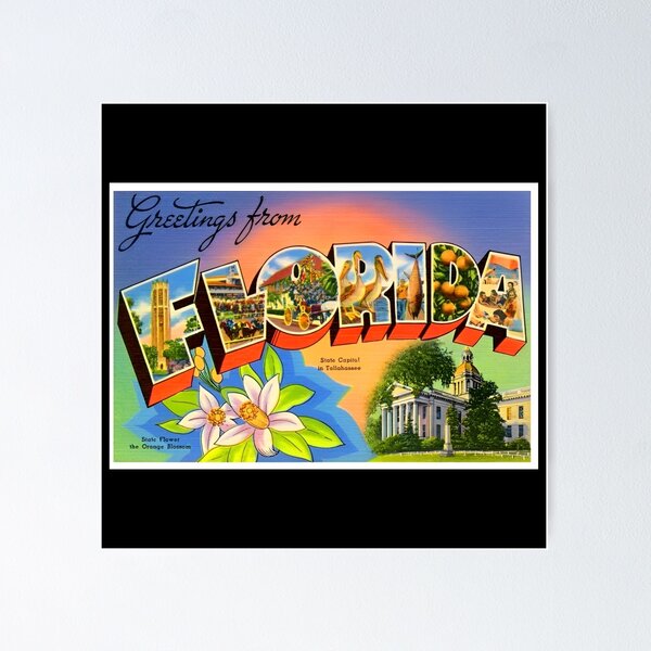 Item preview, Greetings from Florida Retro Souvenir designed and sold by DankThreads.