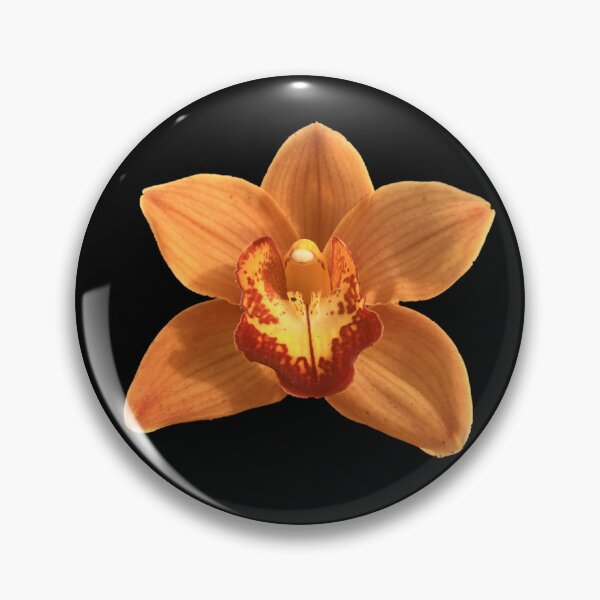 Item preview, Sunburst Splendor designed and sold by ascherf.
