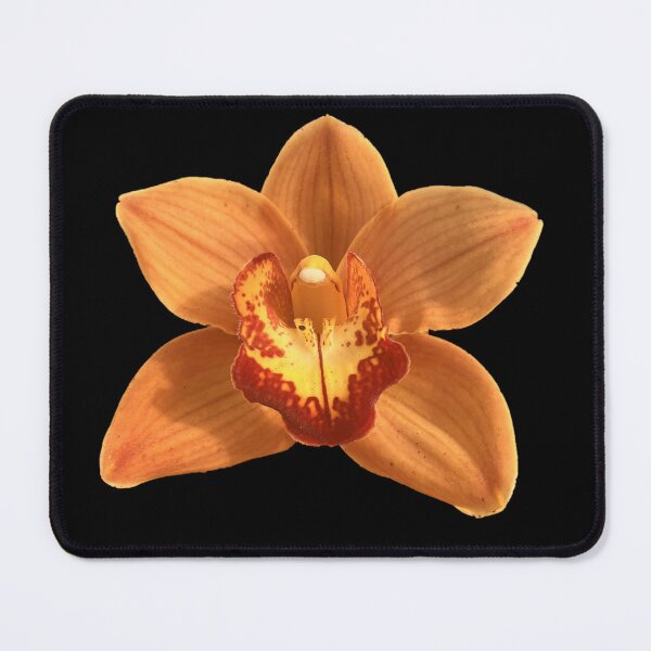 Item preview, Sunburst Splendor designed and sold by ascherf.
