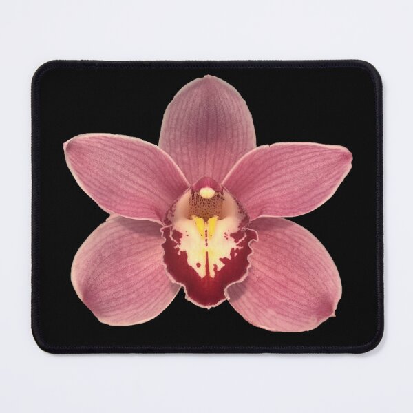 Item preview, Pink Cymbidium designed and sold by ascherf.