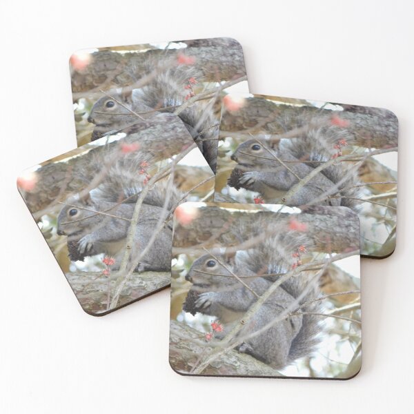 Item preview, Springtime Squirrel designed and sold by Vampiric Sheep.