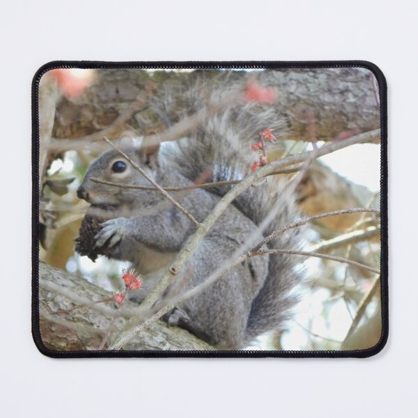 Item preview, Springtime Squirrel designed and sold by Vampiric Sheep.