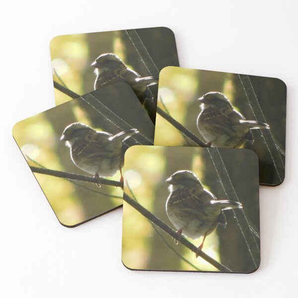Item preview, Little Sparrow designed and sold by Vampiric Sheep.