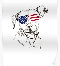 Pit bull Poster