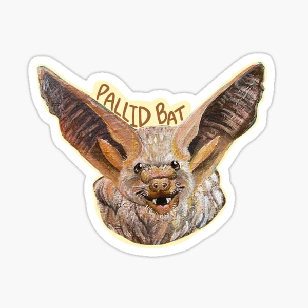 Item preview, Pallid Bat - acrylic print designed and sold by Simmy27star.