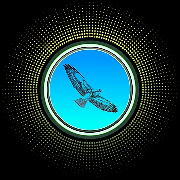 Artwork thumbnail, Hawk Spring Colors Radiate by Tony Anderson Designs