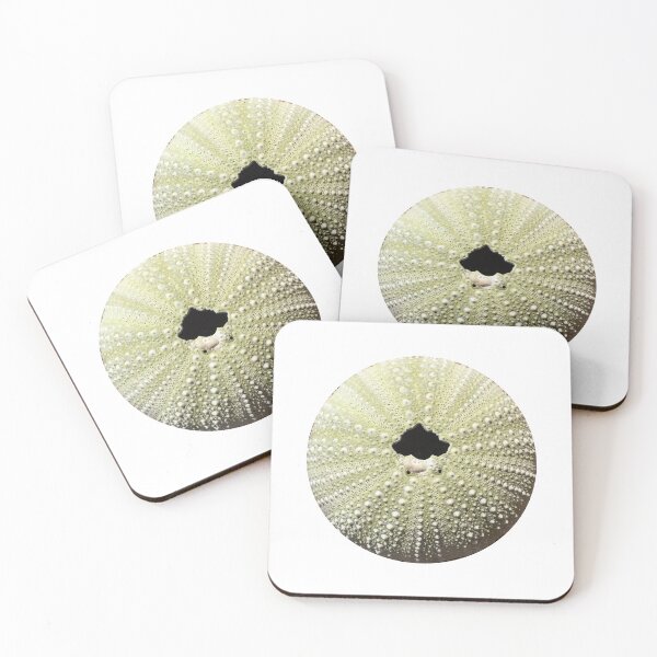 Item preview, Sea Urchin Sticker designed and sold by 12katiekitty.