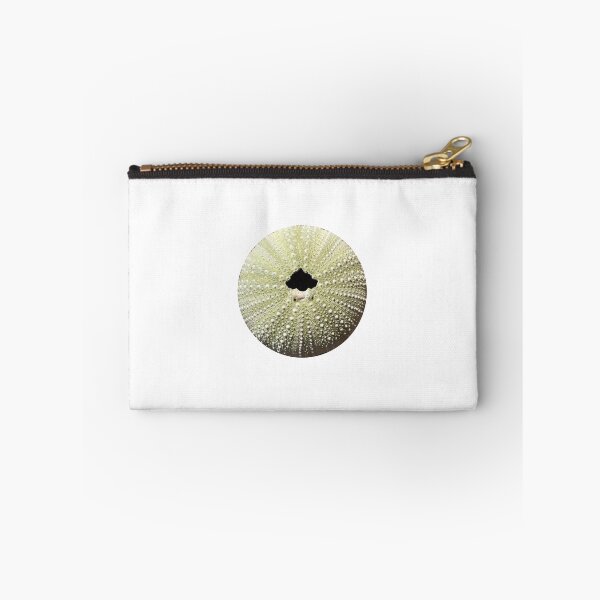Item preview, Sea Urchin Sticker designed and sold by 12katiekitty.