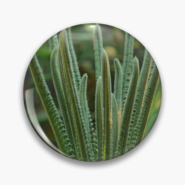 Item preview, Cycad - Reaching designed and sold by Larry Davis.
