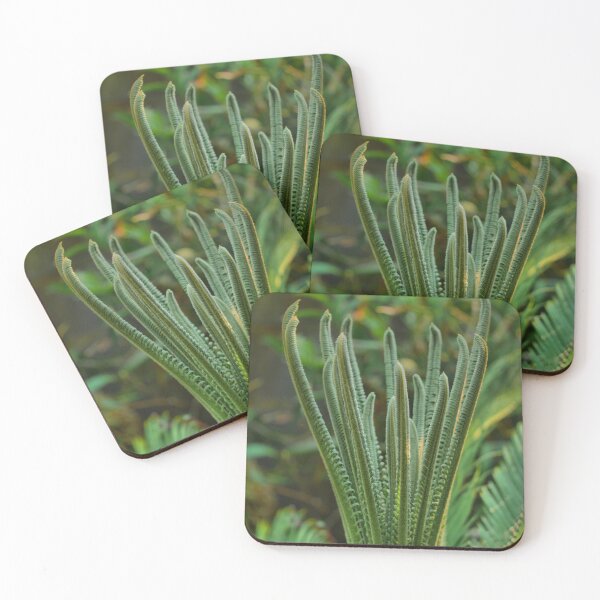 Item preview, Cycad - Reaching designed and sold by Larry Davis.