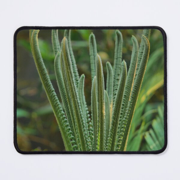 Item preview, Cycad - Reaching designed and sold by Larry Davis.