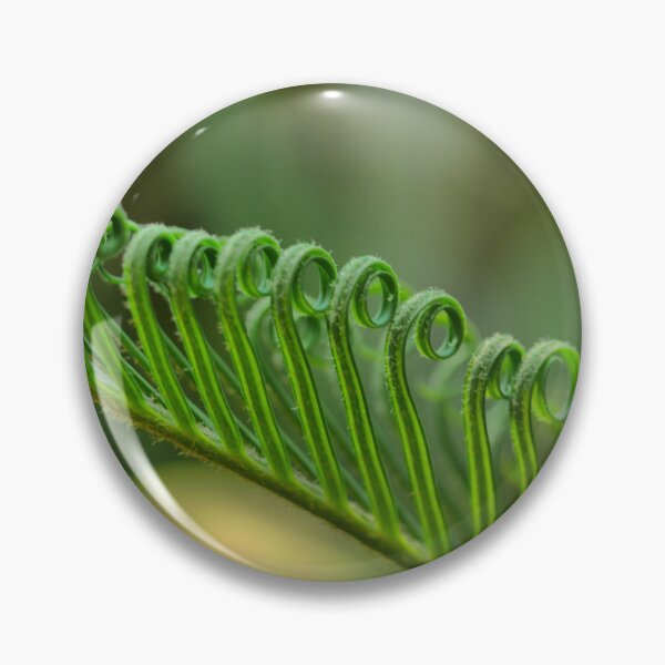 Item preview, Cycad - Unfurling designed and sold by Larry Davis.
