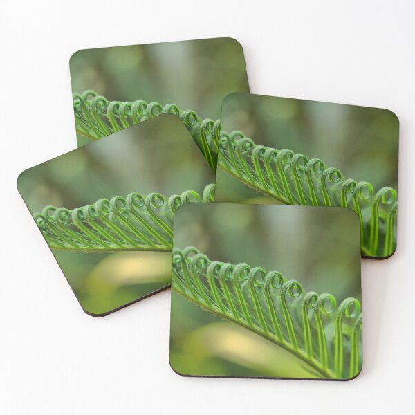 Item preview, Cycad - Unfurling designed and sold by Larry Davis.