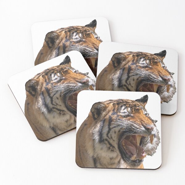Item preview, Tiger Growl designed and sold by Wayne Thomson.