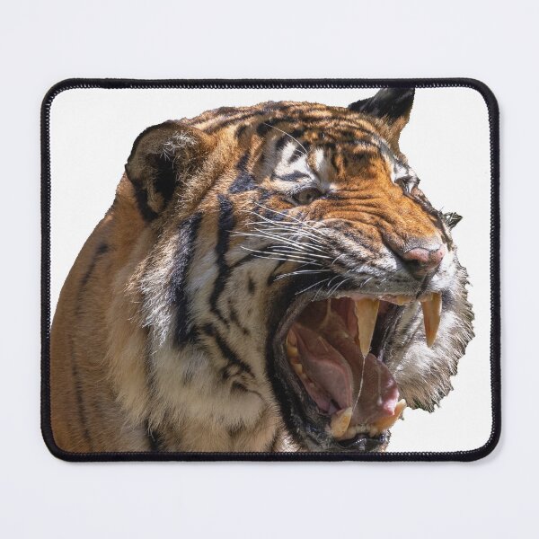 Item preview, Tiger Growl designed and sold by Wayne Thomson.