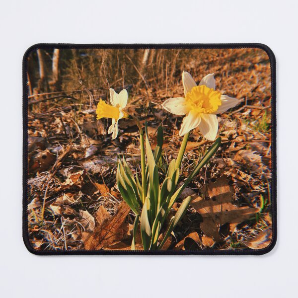 Item preview, daffodil in the sun designed and sold by chickflickcomfort.