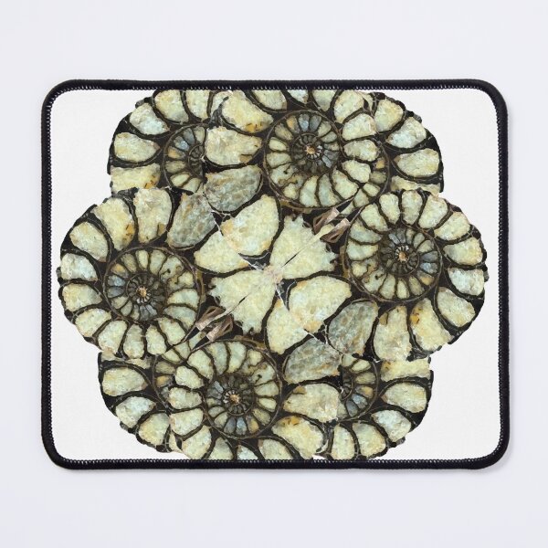 Item preview, Ammonite Fossil Natural Spiral Design designed and sold by ArtDesignTp.