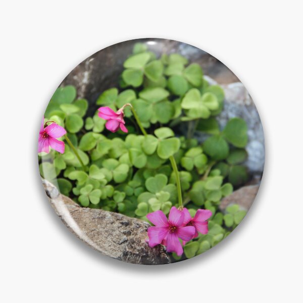 Item preview, Rockery Bloom designed and sold by heatherfriedman.