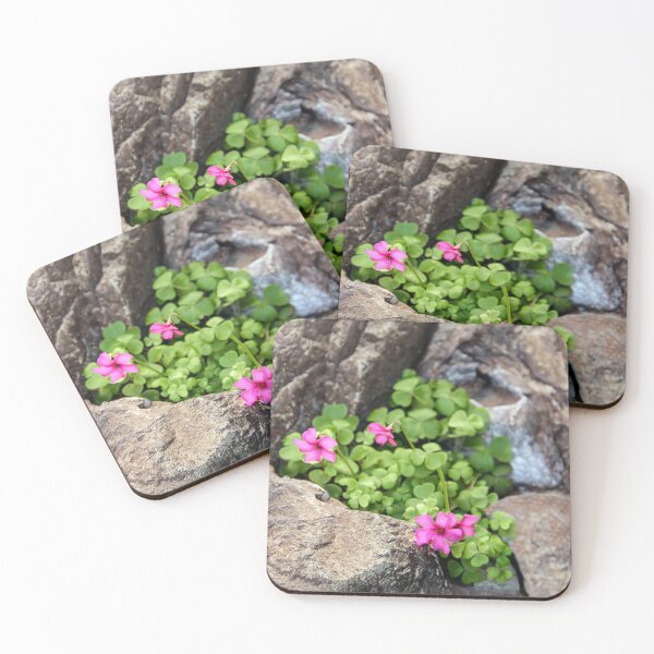 Item preview, Rockery Bloom designed and sold by heatherfriedman.