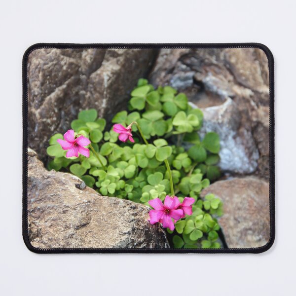 Item preview, Rockery Bloom designed and sold by heatherfriedman.