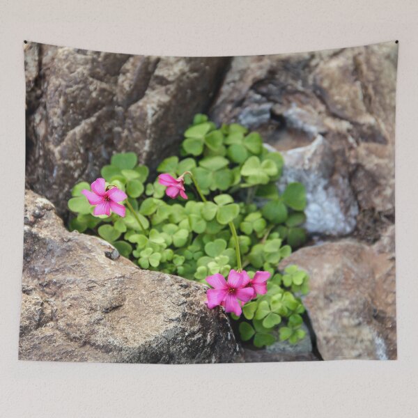 Item preview, Rockery Bloom designed and sold by heatherfriedman.