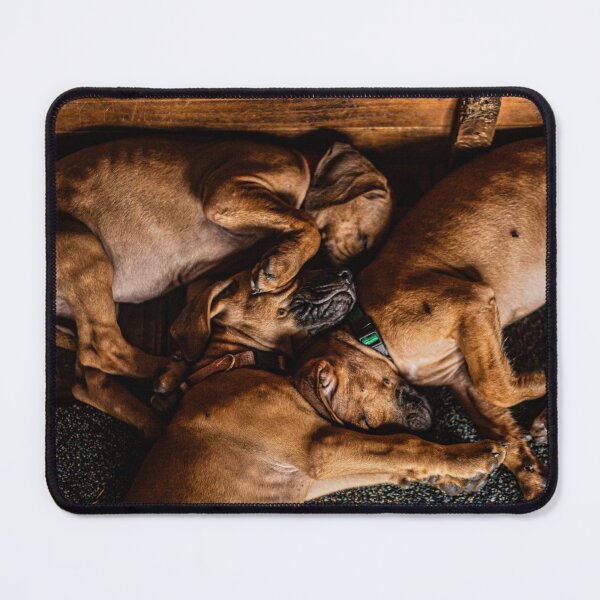 Item preview, Slumber Party designed and sold by IdleImages.
